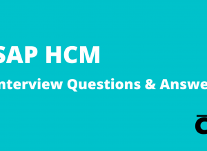SAP HCM Interview Questions And Answers