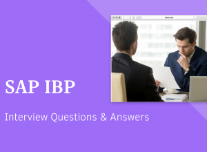 SAP IBP Interview Questions