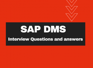 sap dms interview questions and answers